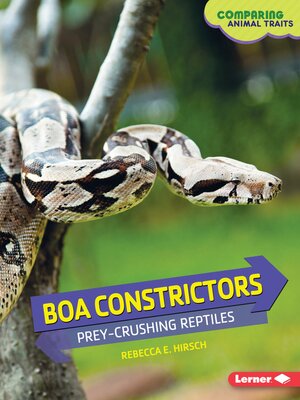 cover image of Boa Constrictors